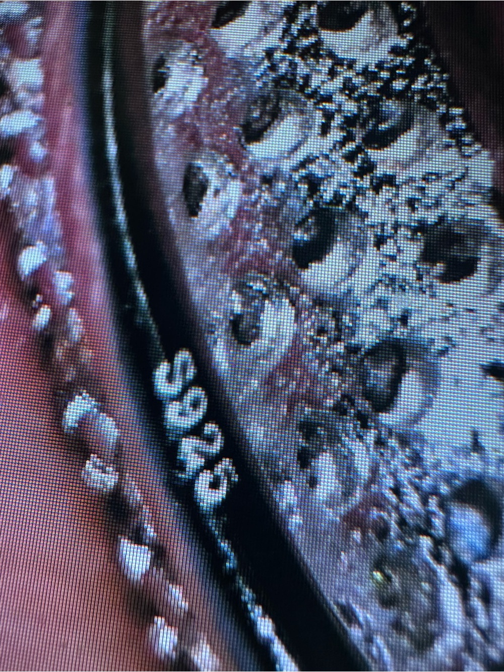 Pave Diamond Eternity Band - Picture 5 of 5